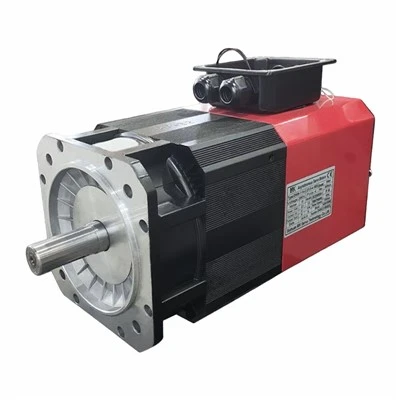 AC220V shpindelli servo dvigatel